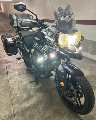 Triumph-tiger 800 xrx