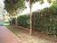 Immagine 18