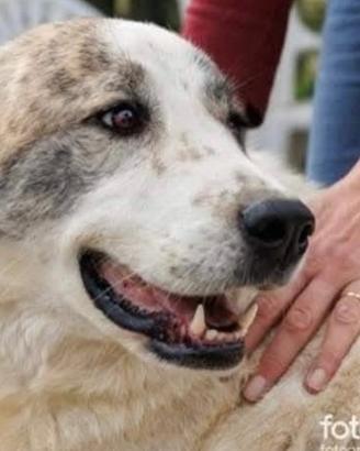 Madame si sta lasciando andare