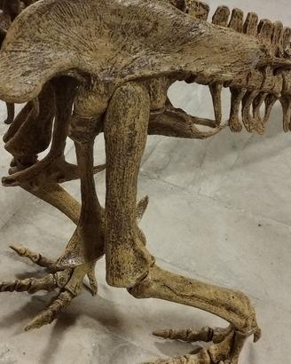 Modello dinosauro t-rex