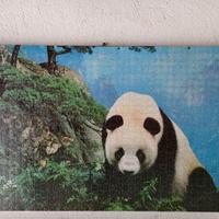 Quadri varie misure vari generi Puzzle completi