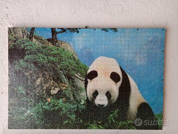 Quadri varie misure vari generi Puzzle completi