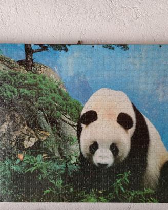 Quadri varie misure vari generi Puzzle completi