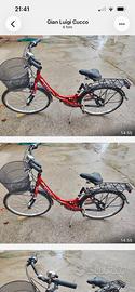 Bici in alluminio fa donna