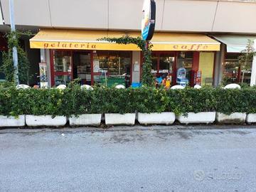 Immobile commerciale o attività commerciale