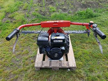 Falciatrice Aebi mod. AM8 & generatore Bosch 2.2Kw
