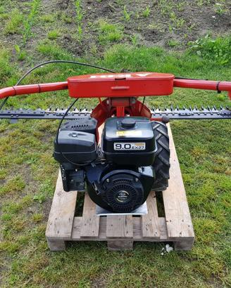Falciatrice Aebi mod. AM8 & generatore Bosch 2.2Kw