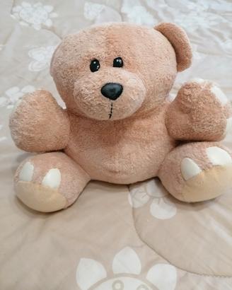 Orsacchiotto peluche 