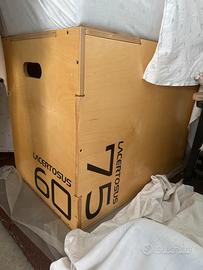 Jump box pilonetrico lacertosus nuovo