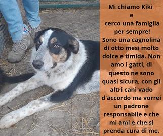 Una famiglia per sempre per Kiki