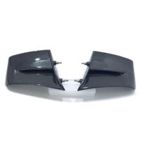 ALI WINGS LATERALI CARBONIO DUCATI PANIGALE V4 MY 