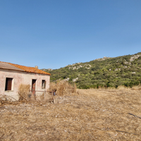 Terreno con pascolo e sughereta, fabbricati 130 mq