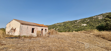 Terreno con pascolo e sughereta, fabbricati 130 mq