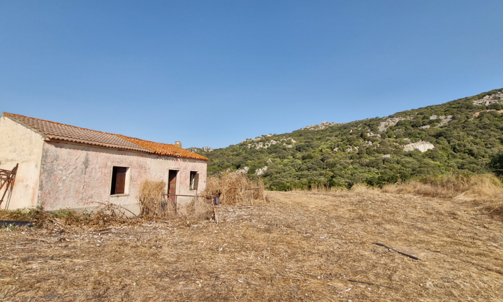 Terreno con pascolo e sughereta, fabbricati 130 mq