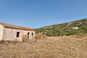 Terreno con pascolo e sughereta, fabbricati 130 mq