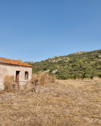 Terreno con pascolo e sughereta, fabbricati 130 mq