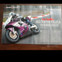 Honda Cbr900rr 954 2003 Rumi
