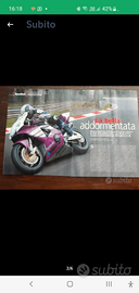 Honda Cbr900rr 954 2003 Rumi