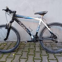 mountain bike