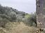 Immagine 10