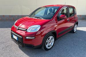 Fiat panda 1.0 hybrid CITY LIFE 2024