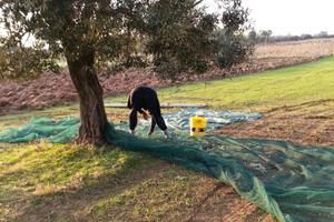 Terreno agricolo di 3000mq con il bocchettone del