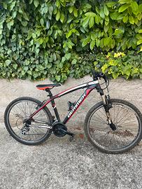 Bicicletta bemmex bambino