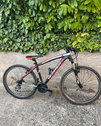 Bicicletta bemmex bambino