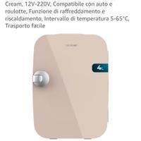 frigorifero portatile 