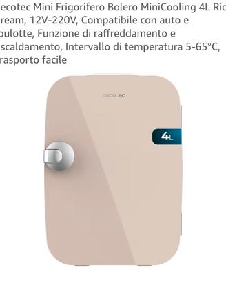 frigorifero portatile 