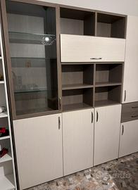 Parete attrezzata / Mobile da soggiorno bicolore