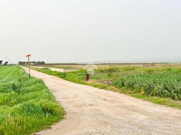 TER. AGRICOLO A SAN SEVERO