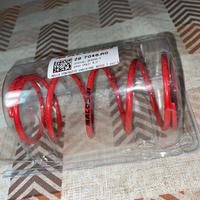 Molla di contropressione MALOSSI MHR colore rosso