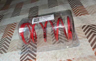 Molla di contropressione MALOSSI MHR colore rosso