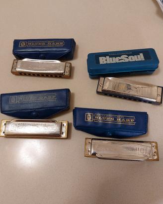 4 armoniche Blues Harp 