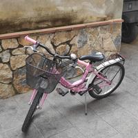 Bicicletta  bambina 20 pollici 