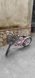 Bicicletta  bambina 20 pollici 