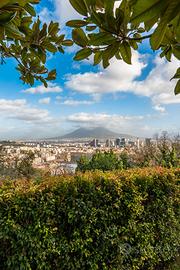 Appartamento Napoli [COLLIAMINEI13VRG]