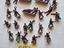 Immagine 5
