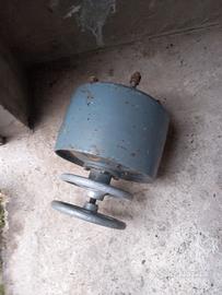 Puleggia Landini L25 Testacalda