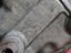 Immagine 8