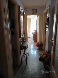 In zona tranquilla, vicina a tutti i servizi