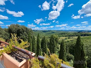 Azienda agricola con 30 ha di vigneto Siena