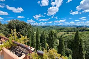Azienda agricola con 30 ha di vigneto Siena