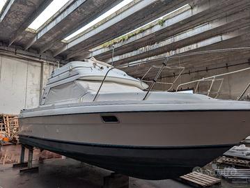 Bayliner 25.56 Ciera Fly  – 8 m – Suzuki 250