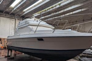 Bayliner 25.56 Ciera Fly  – 8 m – Suzuki 250