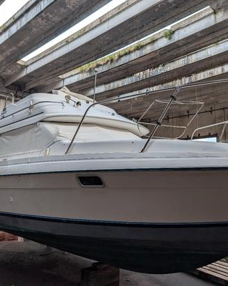 Bayliner 25.56 Ciera Fly  – 8 m – Suzuki 250