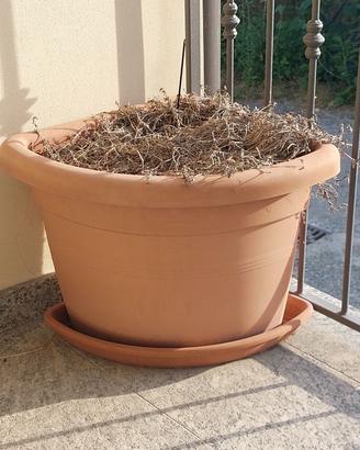 Vaso in plastica d'angolo