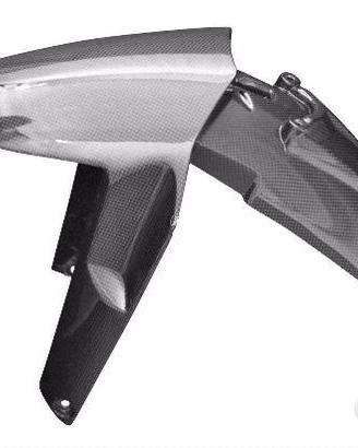 Parafango anteriore carbonio bmw r 1200 gs lc adv