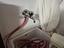 Immagine 3